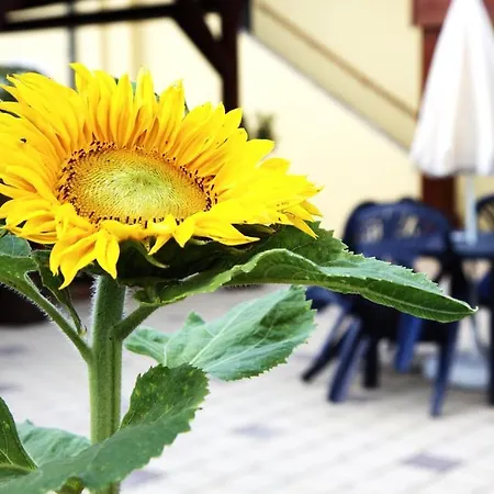 ポッド スルンツェム Třebíz