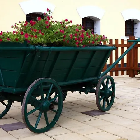 ポッド スルンツェム