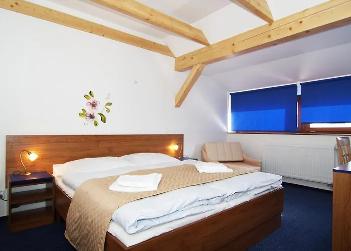 ポッド スルンツェム 3* Třebíz