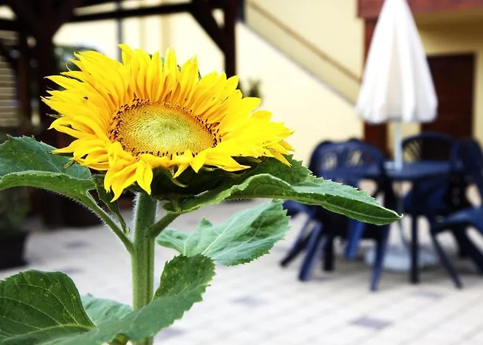 Pod Sluncem Třebíz