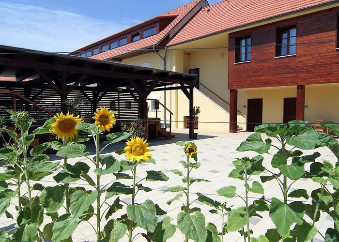 Pod Sluncem Hotel Třebíz